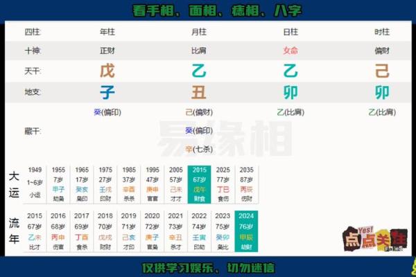 探秘命理：乙木命的独特魅力与人生之路
