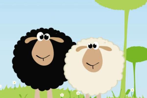 探秘2003年出生的羊儿命运：性格、运势与人生道路