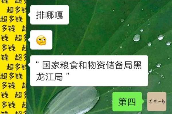 木命女生与其他命相合婚姻指南，理想伴侣选择！