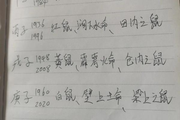 96鼠火命男的命运特征与生活指导