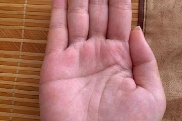 双手断掌女性命运解读：揭示隐藏在手掌中的智慧与潜能