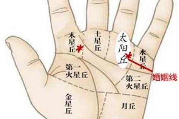 双手断掌女性命运解读：揭示隐藏在手掌中的智慧与潜能