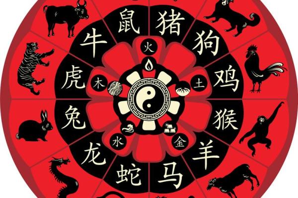 1997年出生的人命运解析:星辰之下的命运交响曲 1997年出生的人命运解析:星辰之下的命运交响曲