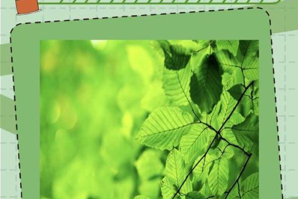 巽命在三元命图中的意义与解读：探索命运的奥秘