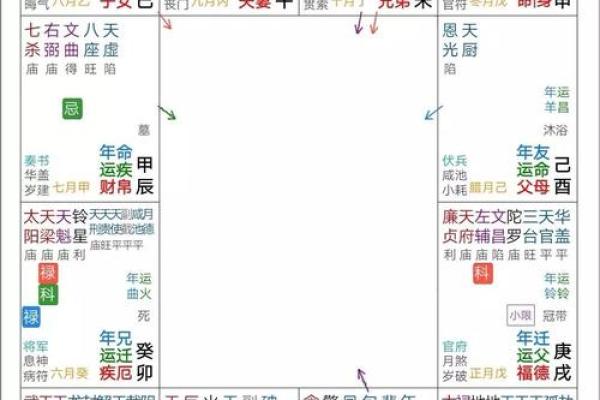 紫薇命格解析：揭开真龙之命的神秘面纱