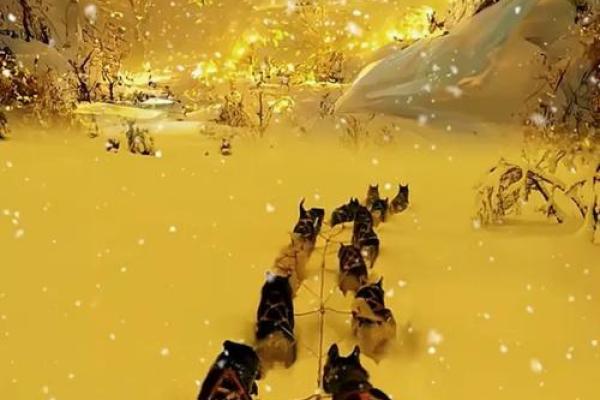 命运交织,高空翱翔——如何在生活中实现自我突破与成长 命运交织,高空翱翔——如何在生活中实现自我突破与成长