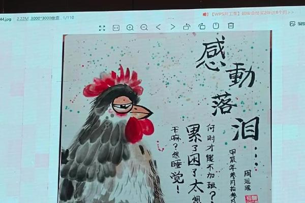 1966年出生的木命人：命运之树与人生哲学