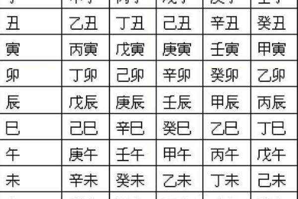 龙年巳时生人命运解析：光明与挑战并存的独特人生