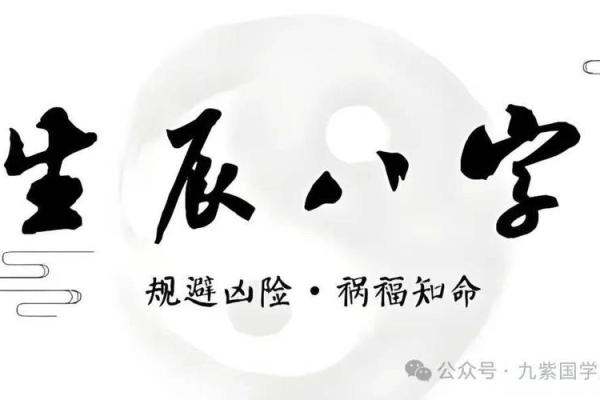 辛命子命的深层内涵与人生启示探讨