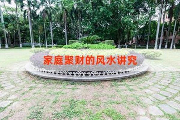 水牛命的幸运颜色：生活与风水的完美结合