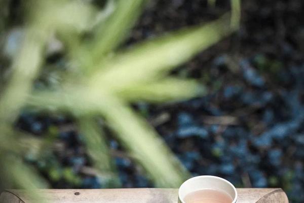 根据命理选择适合养的鱼,助你提升运势与幸福感 根据命理选择适合养的鱼,助你提升运势与幸福感