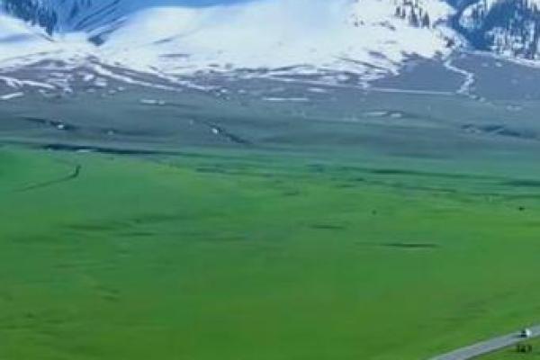 爱命如你，爱你如命：爱的真谛与生活的哲思