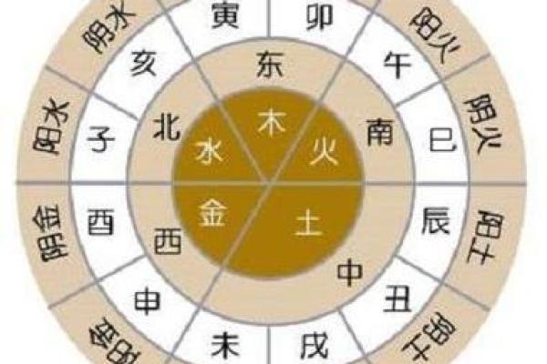 探索1954年的命理：太岁、五行与命运的奇妙交织