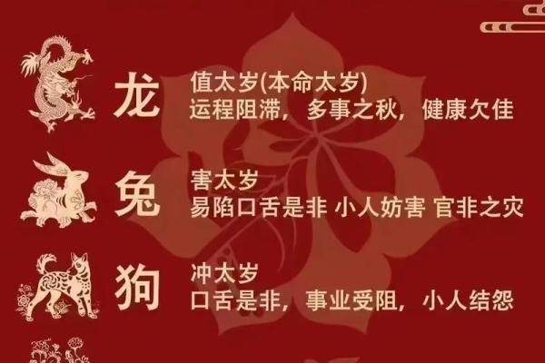 探索1954年的命理：太岁、五行与命运的奇妙交织