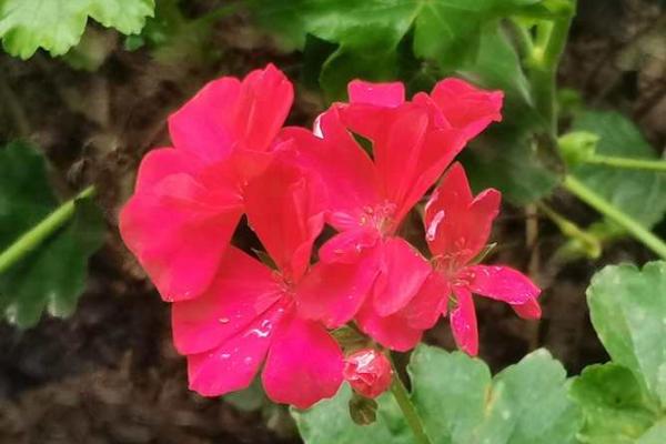 21012年命运解析：如何掌握未来的钥匙与秘诀！