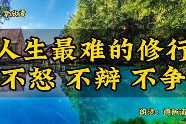 2020年80岁的人，命运与智慧的交响曲：深度解读人生的精彩与平衡