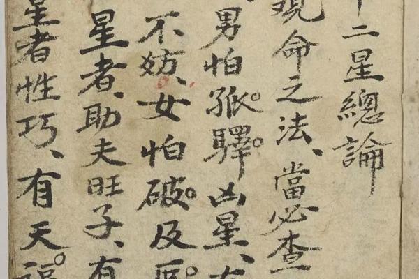 解读命书：探寻古老命理中的人生智慧与奥秘