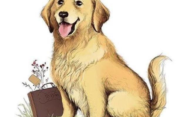 1984年属狗的人命运解析：与生俱来的忠诚与智慧