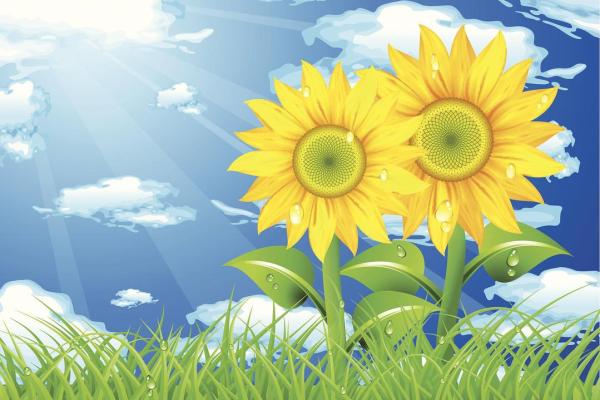 1994年9月出生：命运与机遇的探索之旅