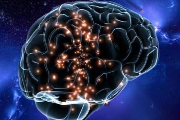 贱命与烂命:生活价值观的深刻探讨 贱命与烂命:生活价值观的深刻探讨