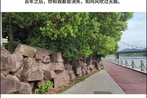 命运如棋，人生如戏：论人生变幻无常的哲理