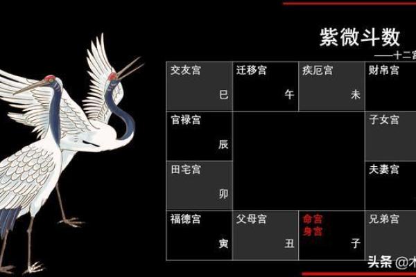 紫微坐命与其他命格的独特之处探究：如何辨别命运的不同轨迹