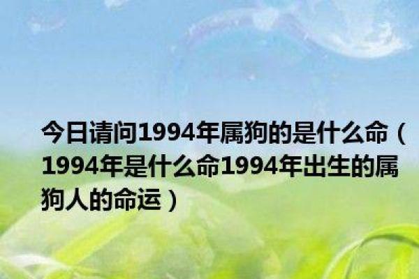 1994年9月出生：命运与机遇的探索之旅
