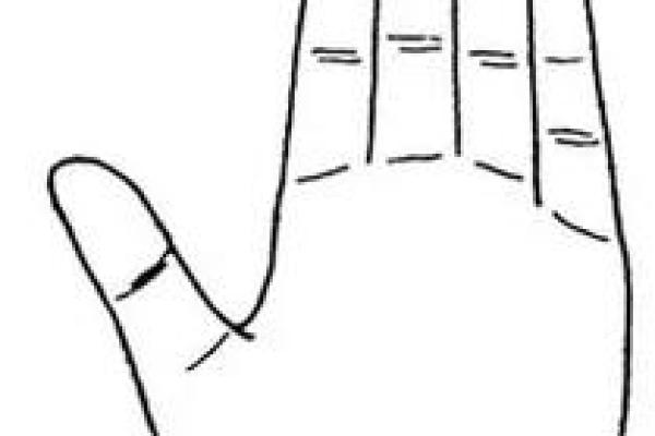 探寻辛酉日柱女命的最佳配偶特征与命运解析