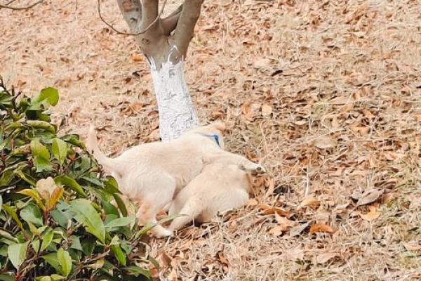 土命人最佳配对：寻找命中注定的另一半