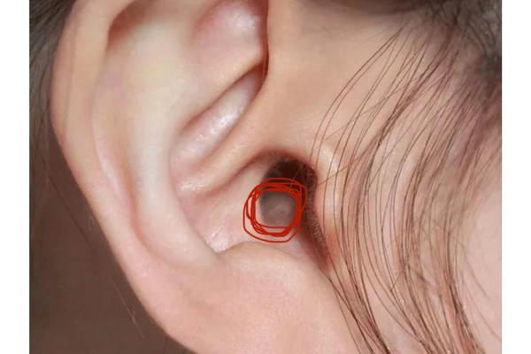 听耳如命:耳朵在生活中的重要性与意义 听耳如命:耳朵在生活中的重要性与意义