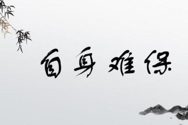 命太难的成语与人生哲学的深刻反思