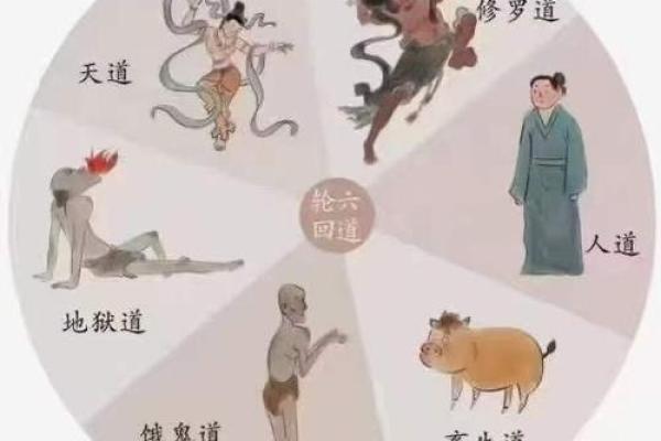 1958年出生的人的命运解析与人生智慧