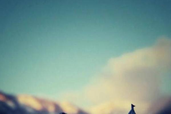 19860318出生的命运分析：揭示独特人生轨迹与性格魅力