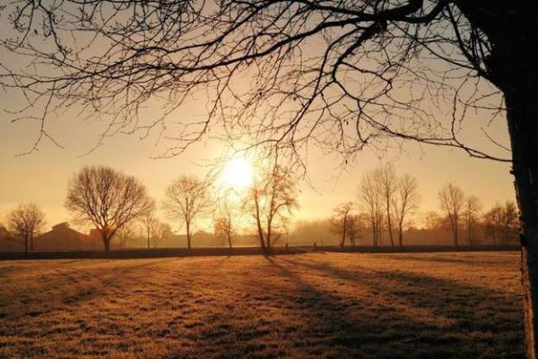 19970319命理解析：你的命运与人生轨迹