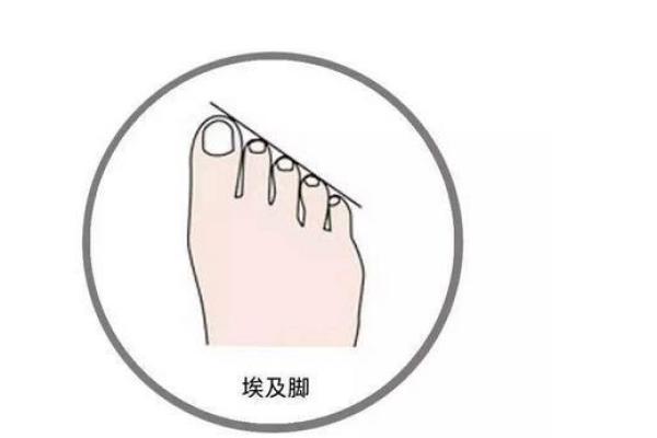 通过脚形透视命运，揭开人生秘密的钥匙！