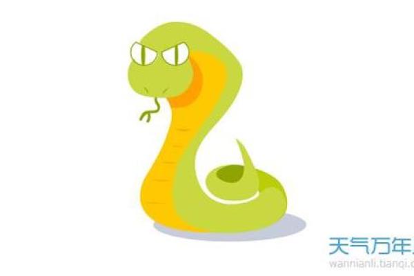 解密47岁属蛇者的五行命理与人生运势