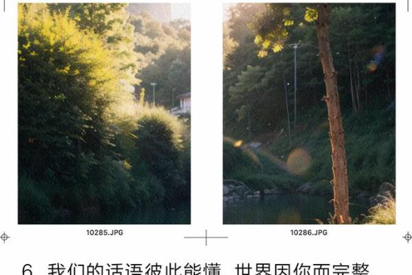 爱如命，心系彼此的深情世界