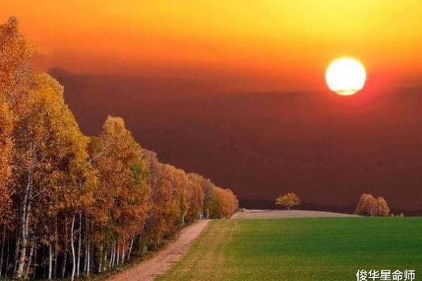 1884年属什么命？深入了解木命之人特质与缘分