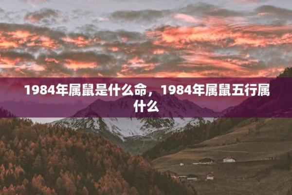 1965年鼠命的人生运势与性格特点探秘