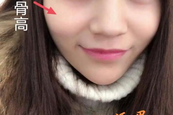 2026年属猪人的命运分析：从性格到事业的全面解析