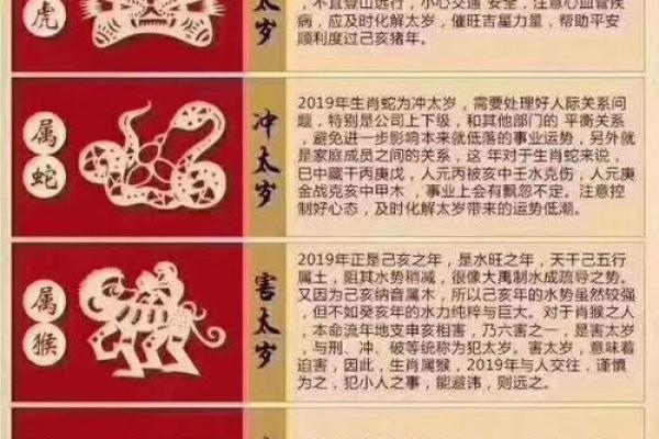 解密生肖与命理：01属什么生肖，命运如何？