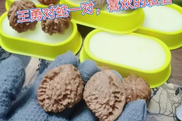 食神格女命与男命的完美配对探讨