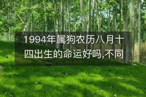 1994年属狗人的命运与性格解析_1