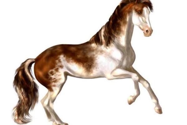 解析生肖马：适合的月份与命运之道