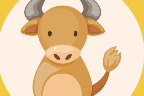 男性生肖与命运的奥秘：你的生肖如何影响人生际遇？