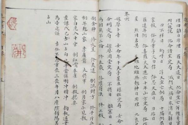 探秘风水:寅命命退山的深刻含义与应用 探秘风水:寅命命退山的深刻含义与应用