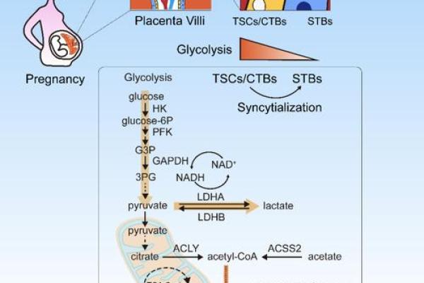 20020109的命运解读：揭示数字背后的性格与人生轨迹