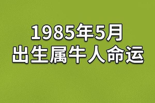 探索1955年农历出生者的命理与性格特征