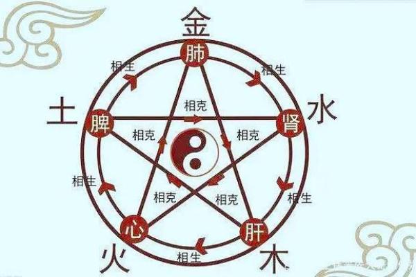 7171猪，五行相生，命理解析与人生启示