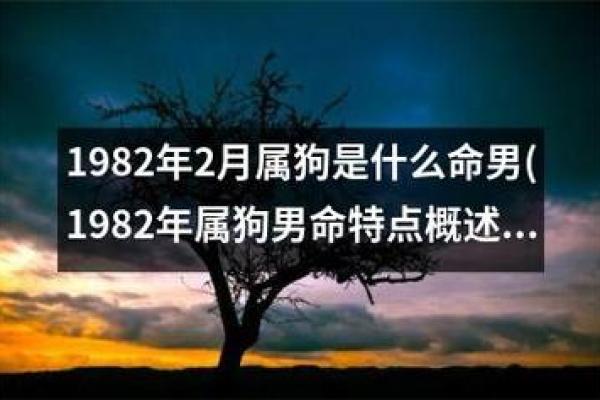1982年属狗的命运分析：性格特征与运势解析